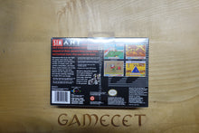 Laden Sie das Bild in den Galerie-Viewer, SimAnt - Amerika