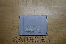 Laden Sie das Bild in den Galerie-Viewer, Mario is Missing!