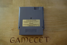 Laden Sie das Bild in den Galerie-Viewer, NES Open Tournament Golf