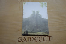 Laden Sie das Bild in den Galerie-Viewer, Shadow of the Colossus