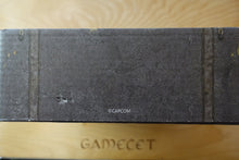 Laden Sie das Bild in den Galerie-Viewer, Resident Evil Requiem - Influencer Kit