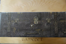 Laden Sie das Bild in den Galerie-Viewer, Resident Evil Requiem - Influencer Kit