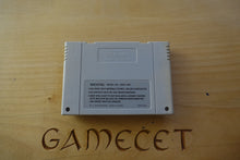 Laden Sie das Bild in den Galerie-Viewer, Mario Paint