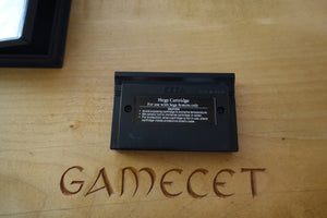 F-16 Fighter (The Sega Cartridge)