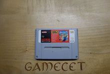 Laden Sie das Bild in den Galerie-Viewer, Mario is Missing!