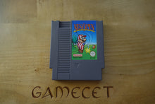 Laden Sie das Bild in den Galerie-Viewer, NES Open Tournament Golf