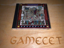 Laden Sie das Bild in den Galerie-Viewer, Salzburg PS1
